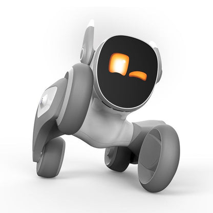 Mini Smart Robot